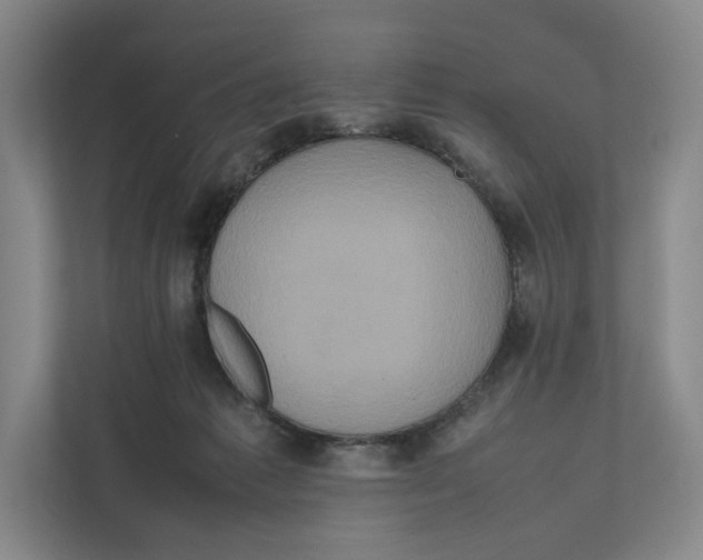 X0000111810221200908201117