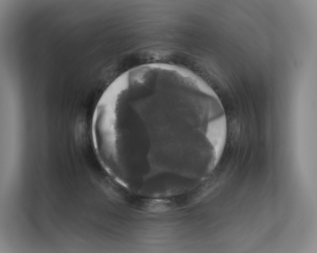 X0000111810222200908201117