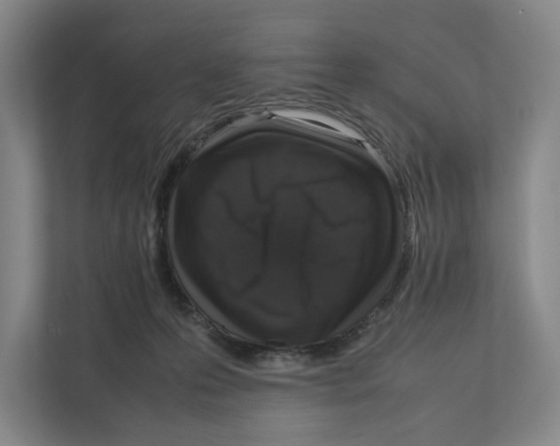 X0000111810223200908201117
