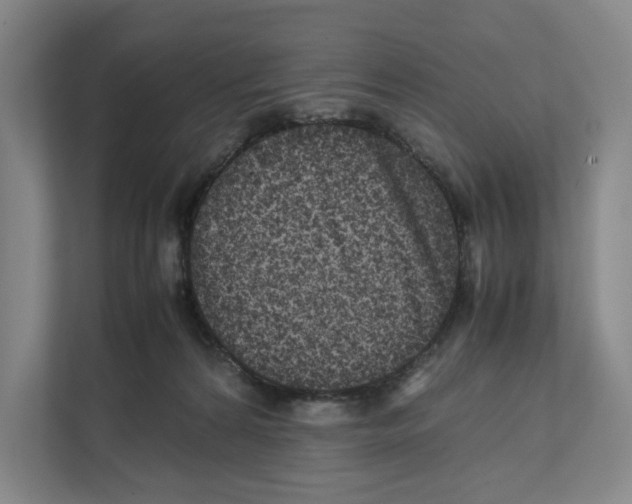 X0000111810224200908201117
