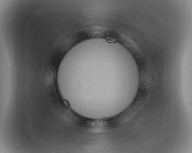 X0000111810225200908201117