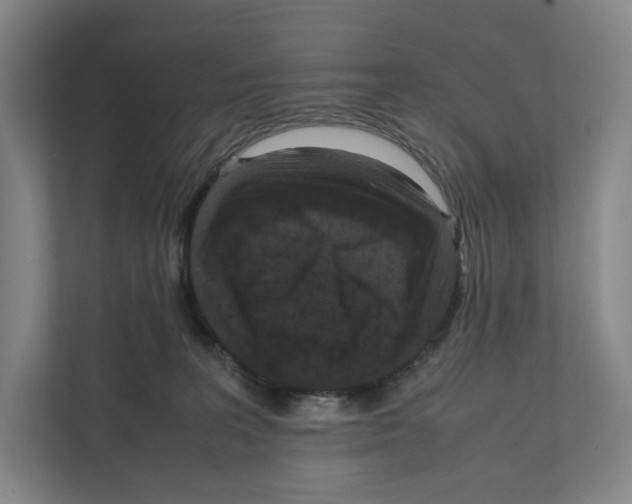 X0000111810227200908201117