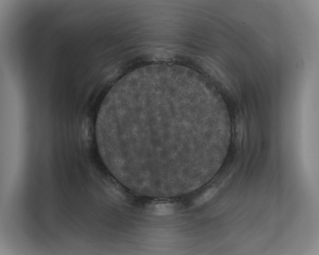 X0000111810228200908201117