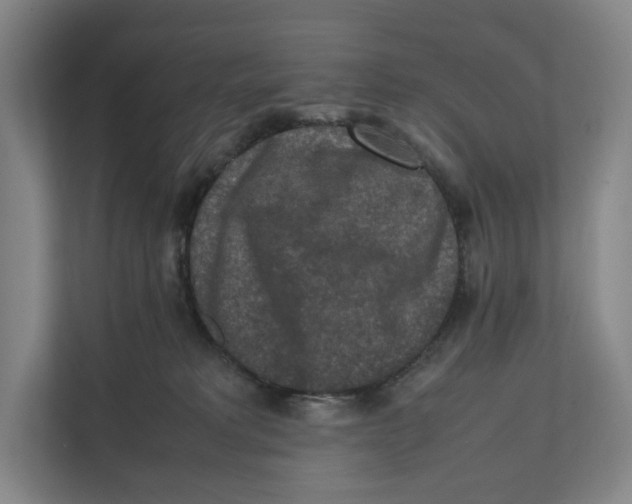 X0000111810229200908201117
