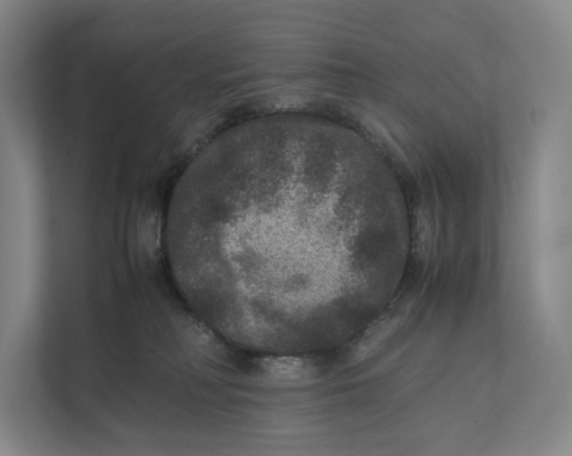 X0000111810230200908201117