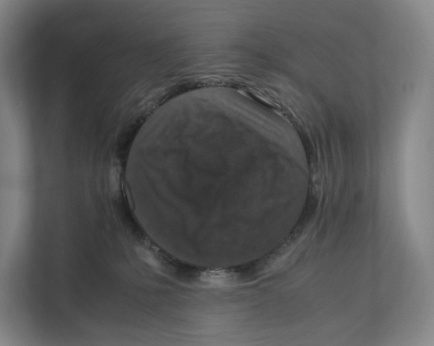 X0000111810231200908201117