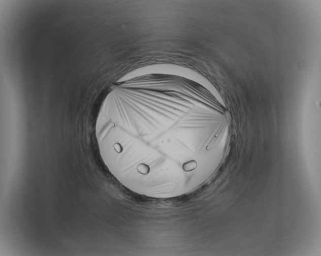 X0000111810235200908201117