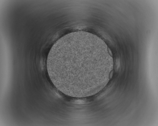 X0000111810236200908201117