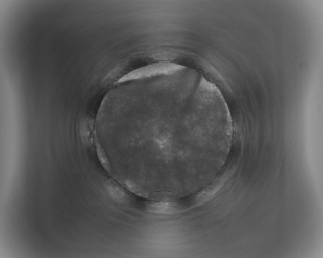 X0000111810237200908201117