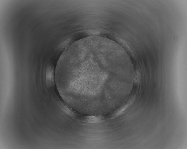 X0000111810238200908201117