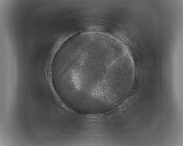 X0000111810241200908201116