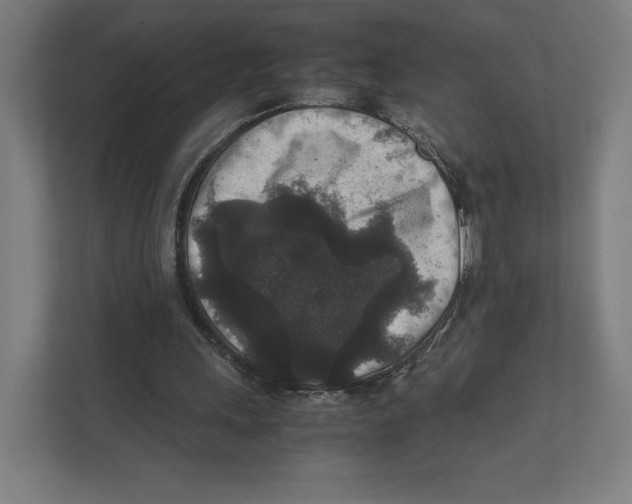 X0000111810243200908201116