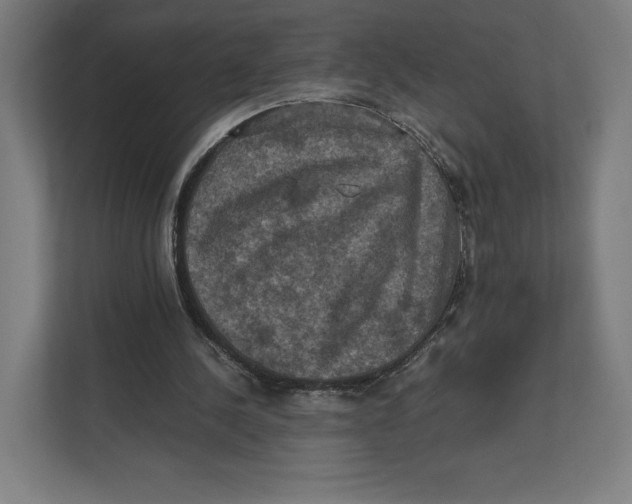 X0000111810244200908201116