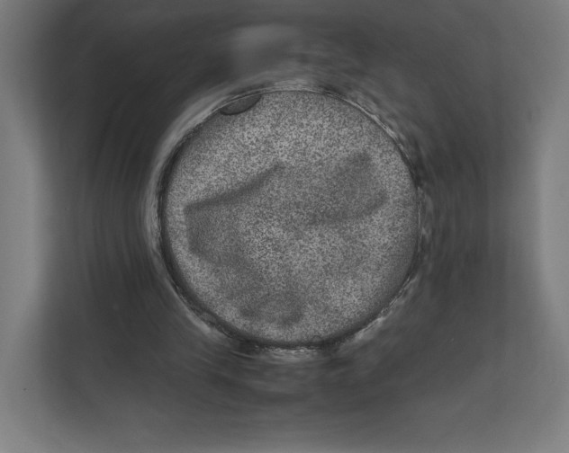 X0000111810245200908201116