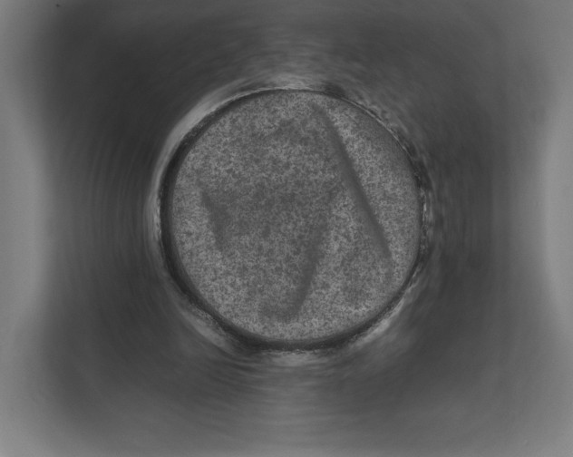 X0000111810246200908201116