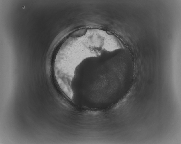 X0000111810247200908201116