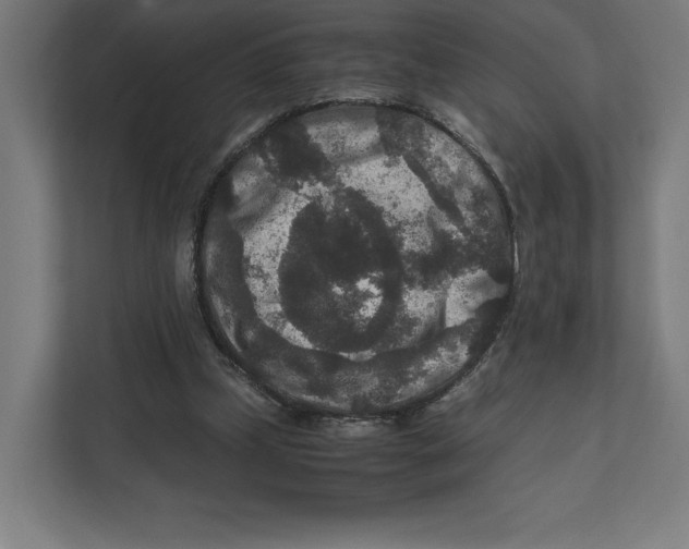 X0000111810249200908201116