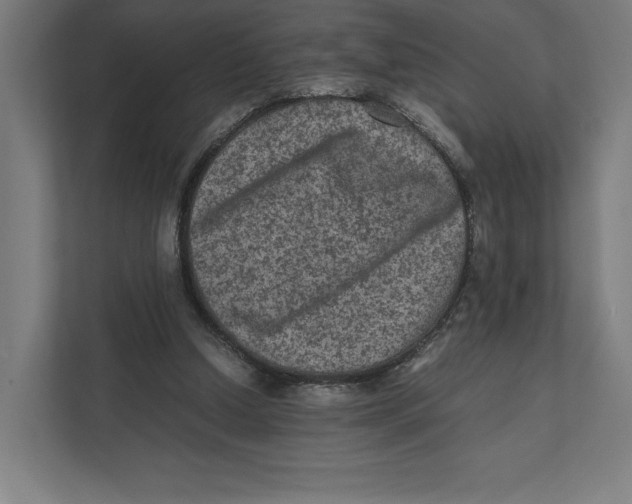 X0000111810250200908201116