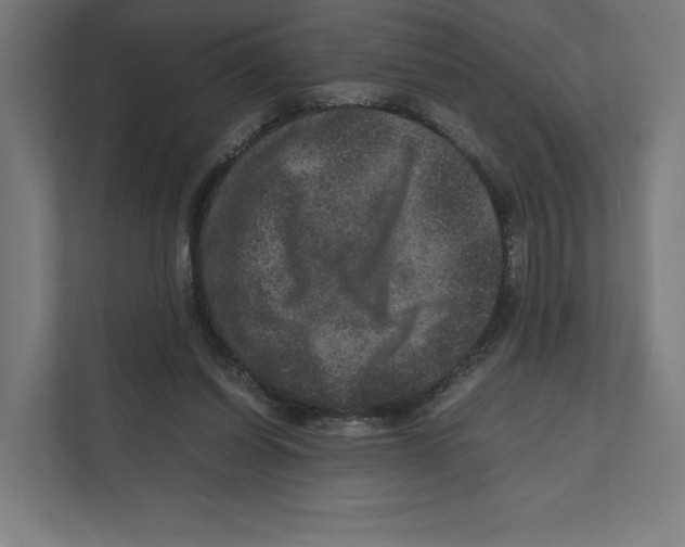 X0000111810254200908201116
