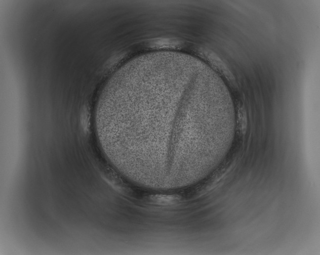 X0000111810255200908201116