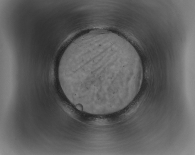 X0000111810256200908201116