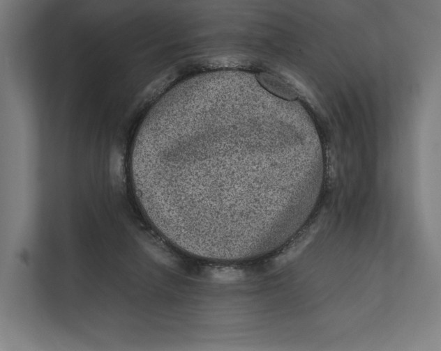 X0000111810258200908201116