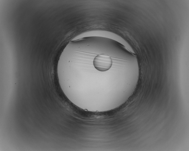 X0000111810260200908201116