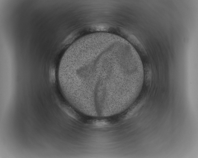 X0000111810262200908201116