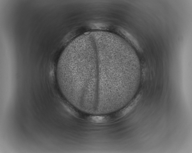 X0000111810265200908201116