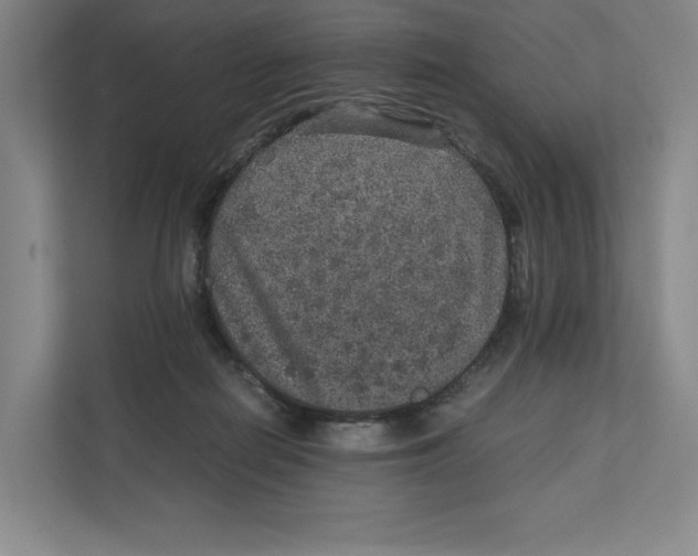 X0000111810266200908201116