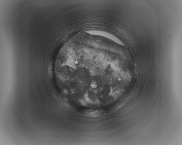 X0000111810267200908201116