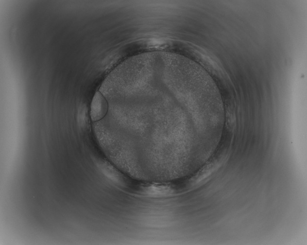 X0000111810270200908201116