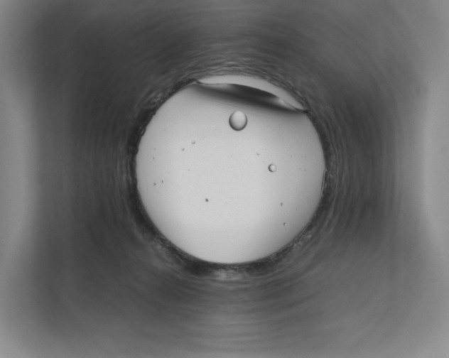 X0000111810272200908201116