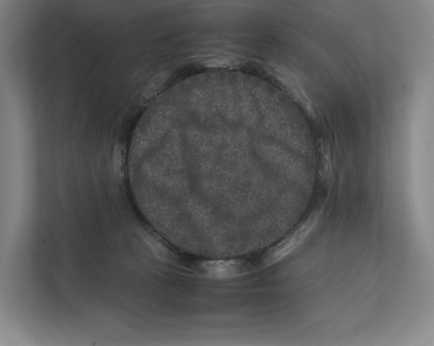 X0000111810273200908201116