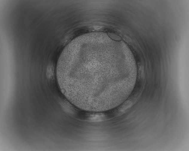 X0000111810274200908201116