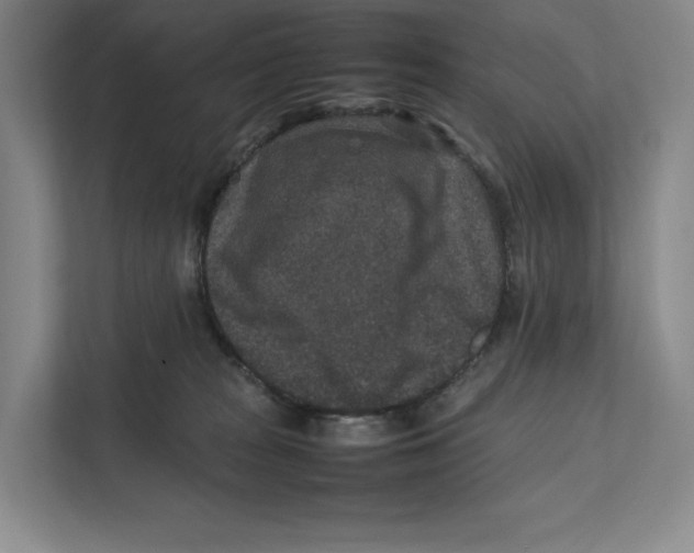 X0000111810277200908201116