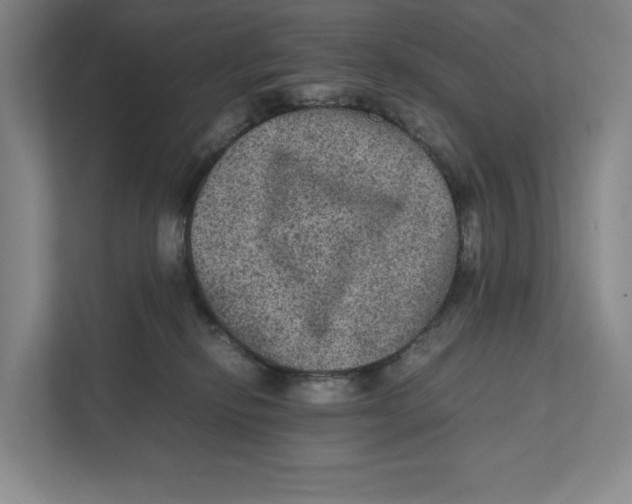 X0000111810278200908201116
