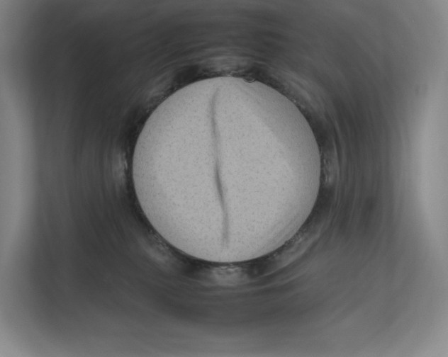 X0000111810279200908201116
