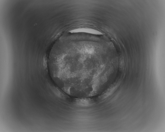 X0000111810282200908201117