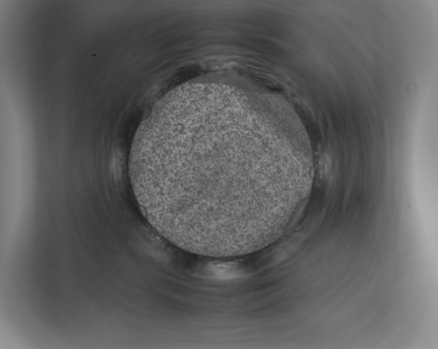 X0000111810283200908201117