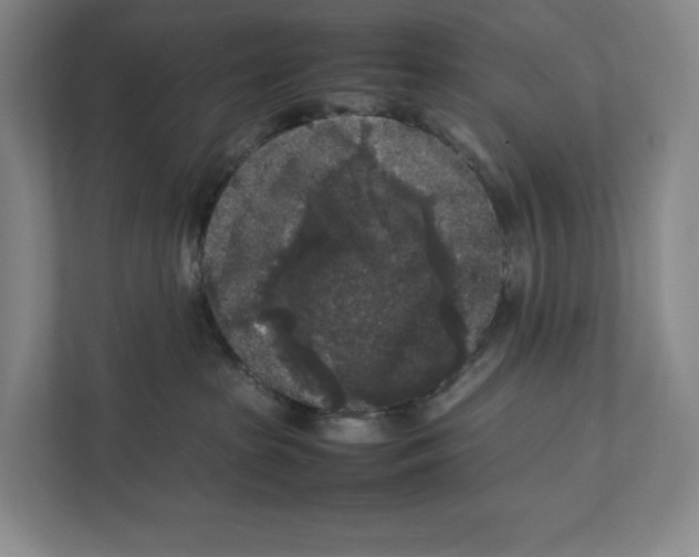 X0000111810285200908201117