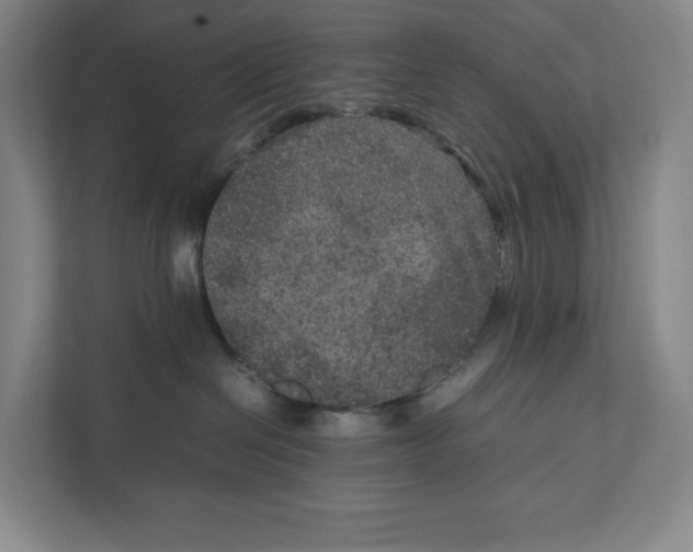 X0000111810286200908201117