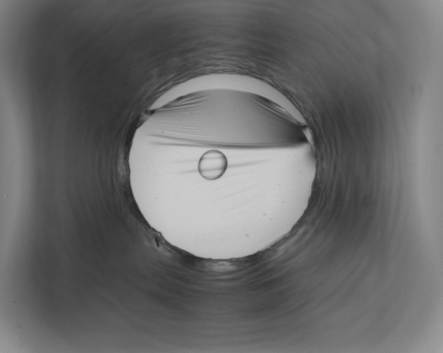 X0000111810287200908201117