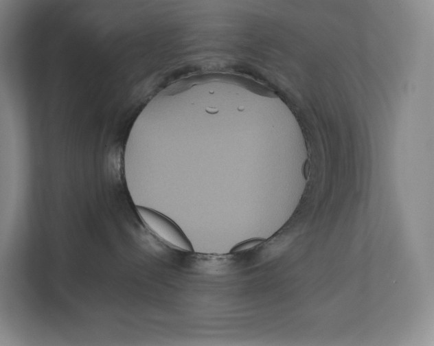 X0000111810288200908201117