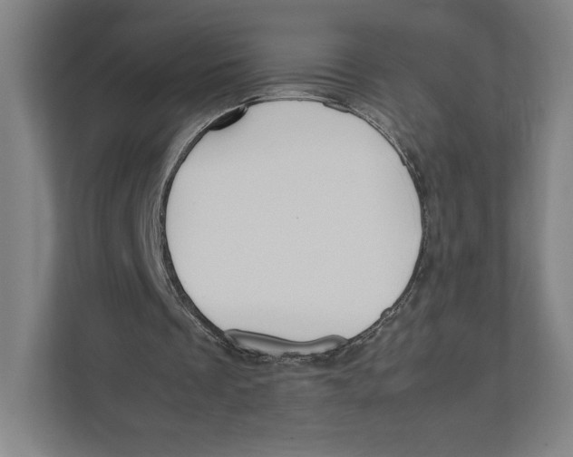 X0000111810289200908201116