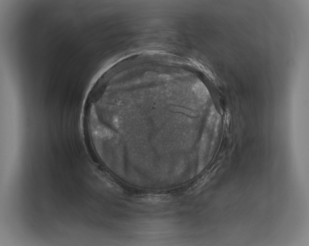 X0000111810292200908201116