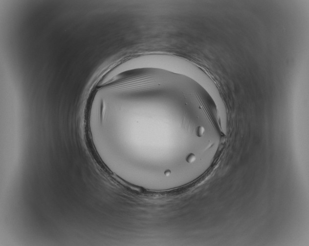 X0000111810293200908201116