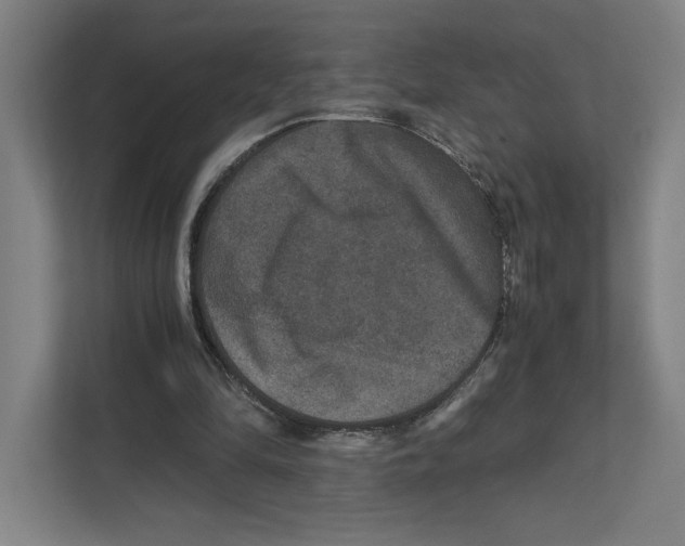 X0000111810294200908201116