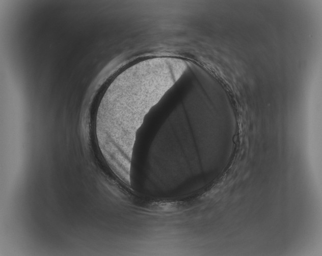 X0000111810295200908201116
