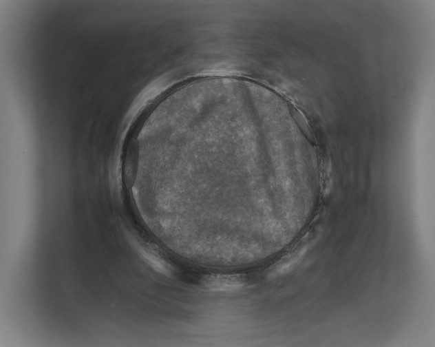 X0000111810296200908201116